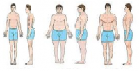 Phân loại hình thái cơ thể nam giới theo cấu trúc  (ở lứa tuổi cơ thể đã phát triển ổn định và biệt hóa rõ ràng)
